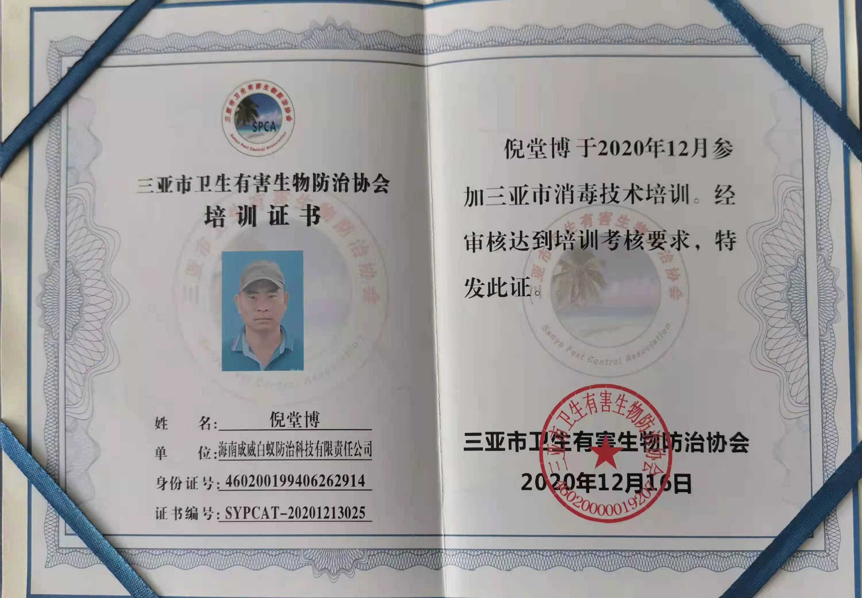 培训证书